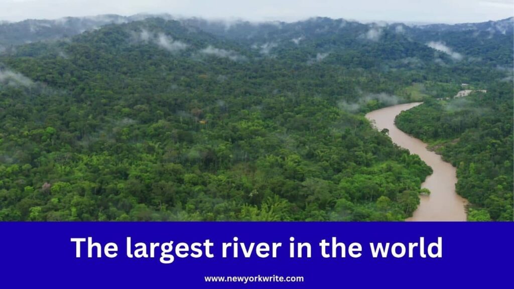 Top 10 Mysterious Facts About the Amazon Jungle