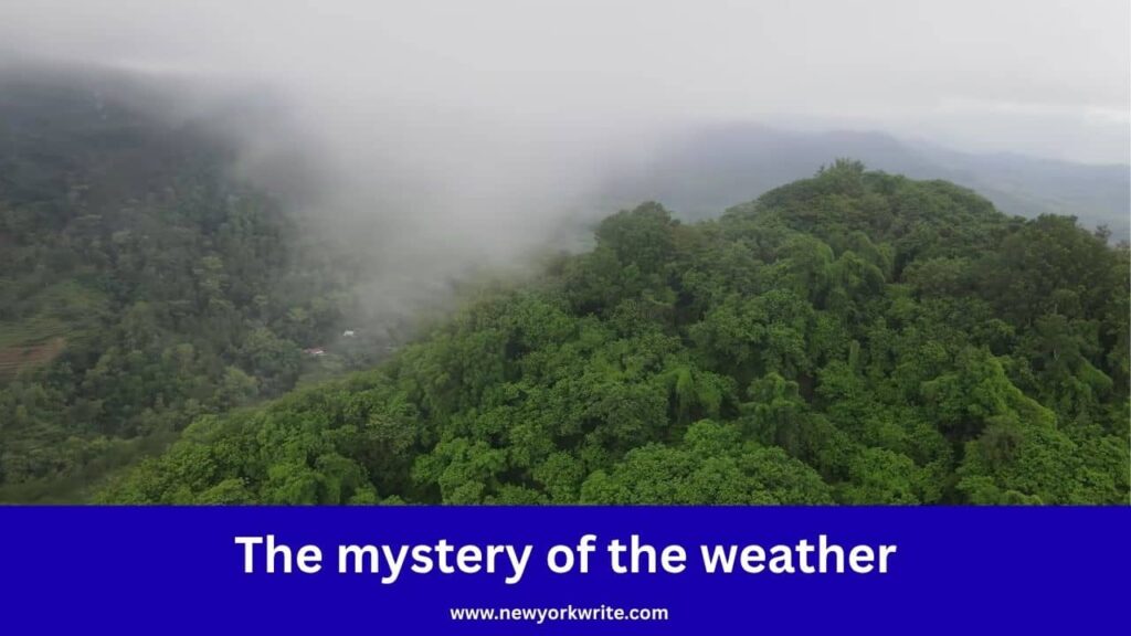 Top 10 Mysterious Facts About the Amazon Jungle