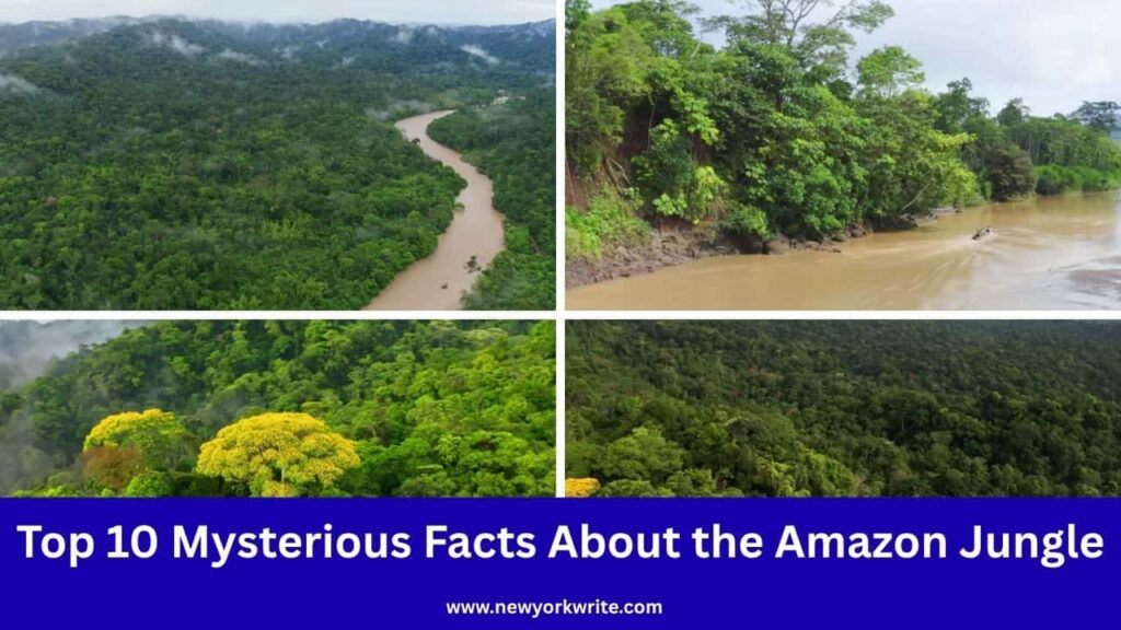 Top 10 Mysterious Facts About the Amazon Jungle