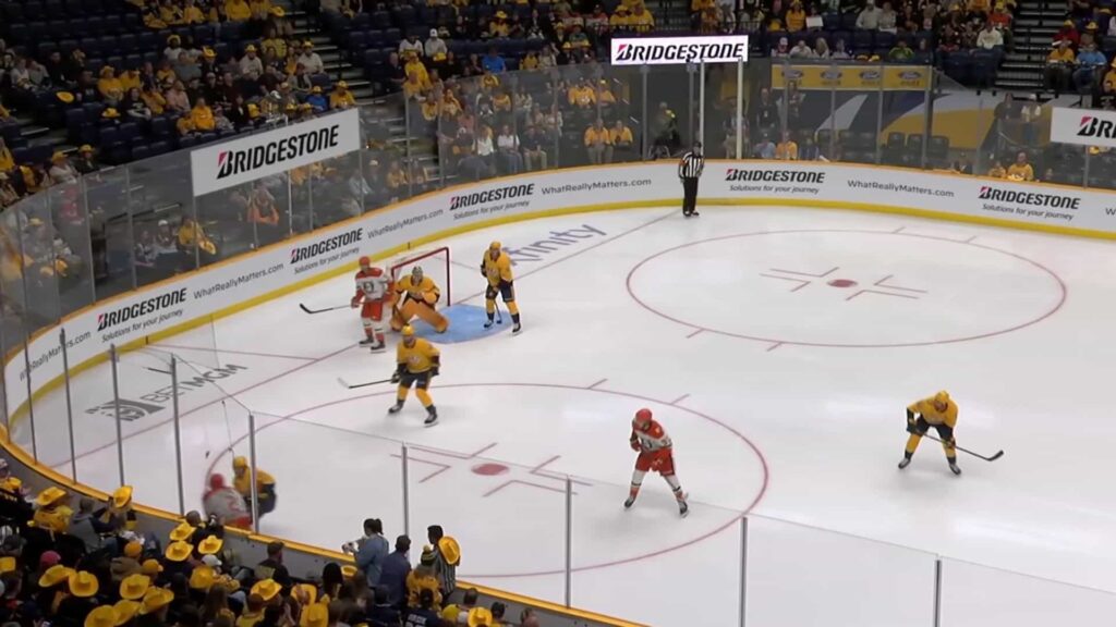 Anaheim Ducks playoff clinch